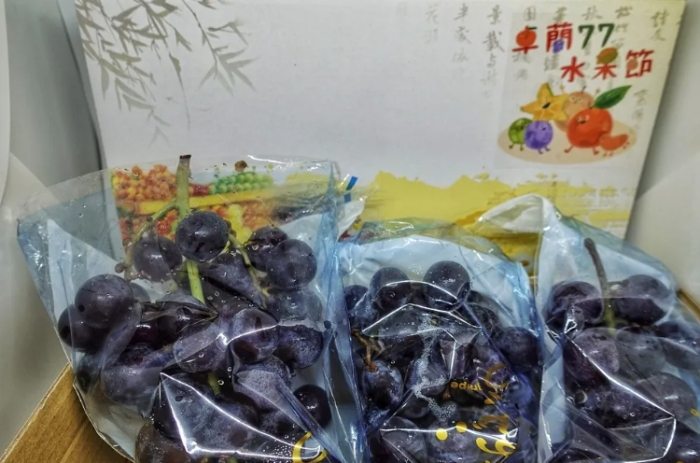 苗栗水果 苗栗水果