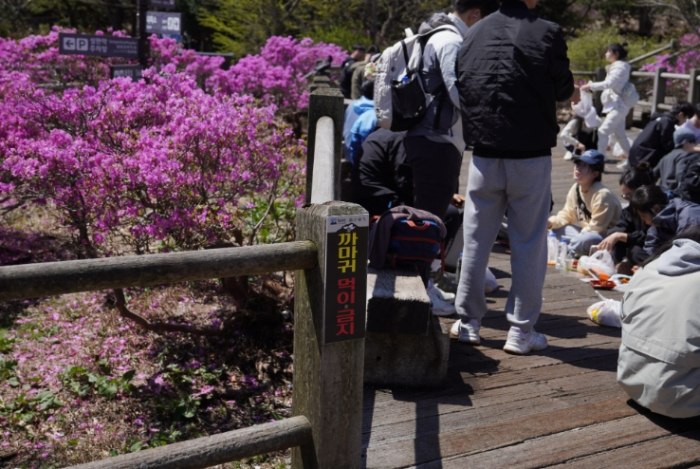 濟州島交通 濟州島交通