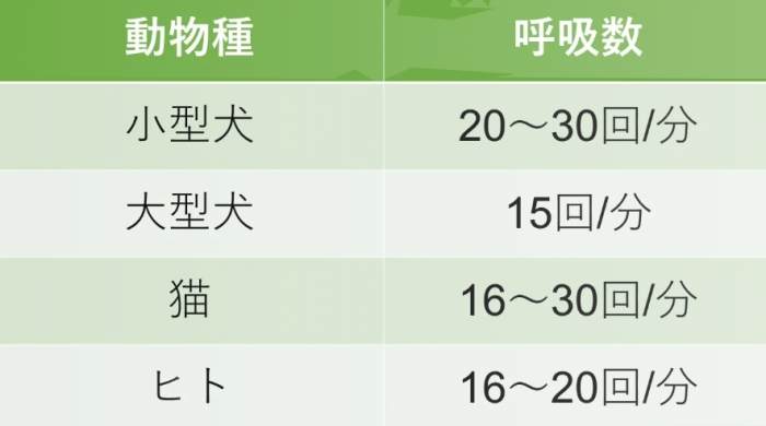 幼犬呼吸急促原因