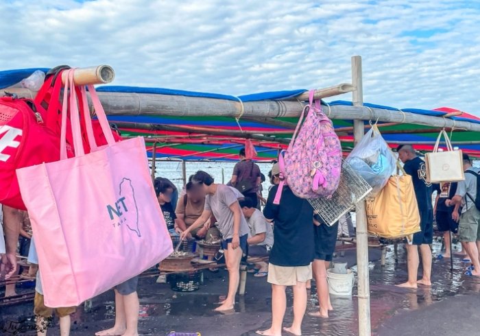 王功潮間帶生態 王功潮間帶生態