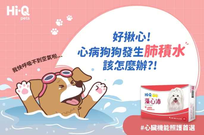 狗狗肺積水症狀