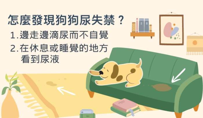 尿毒症早期跡象