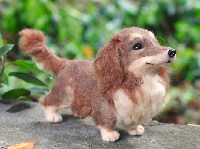 長毛狗飼養困難 長毛狗飼養困難