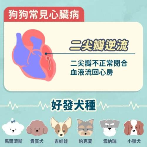 狗心臟病症狀