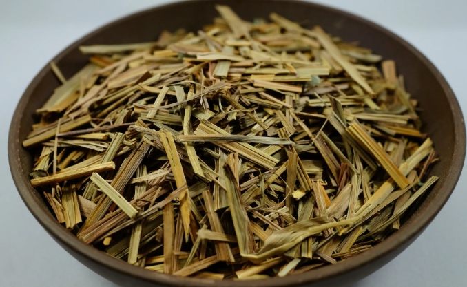 狗食香茅安全 狗食香茅安全