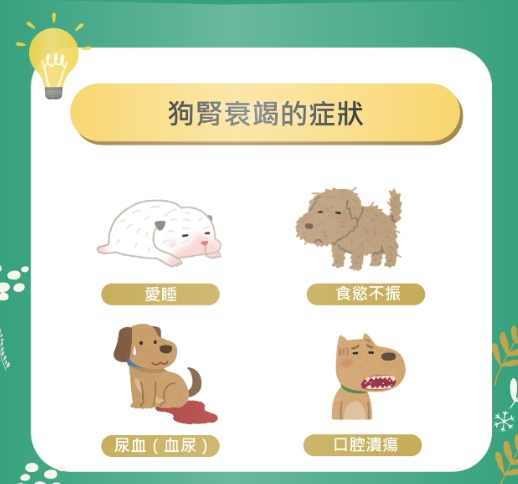 腎衰竭狗狗治療