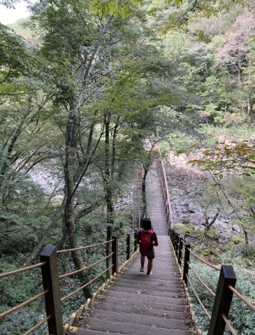 漢拏山登山指南 漢拏山登山指南