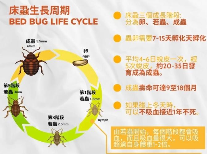 壁蝨殺蟲劑推薦