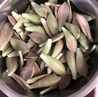 石蓮花果汁做法