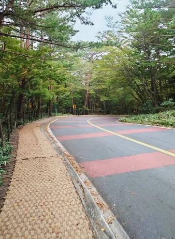 靈室參觀規劃 靈室參觀規劃