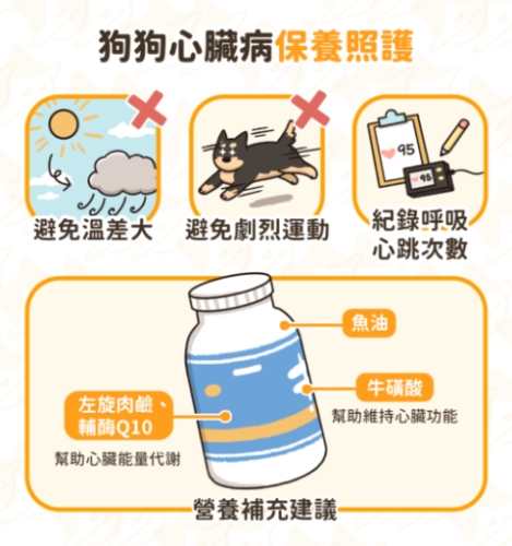 狗心臟病預防