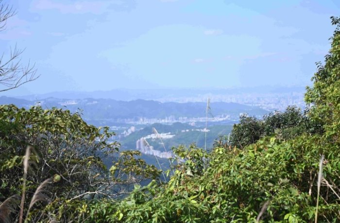 雞心尖路線 雞心尖路線