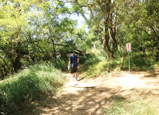 火炎山步道兒童 火炎山步道兒童