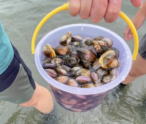 王功旅遊 王功旅遊