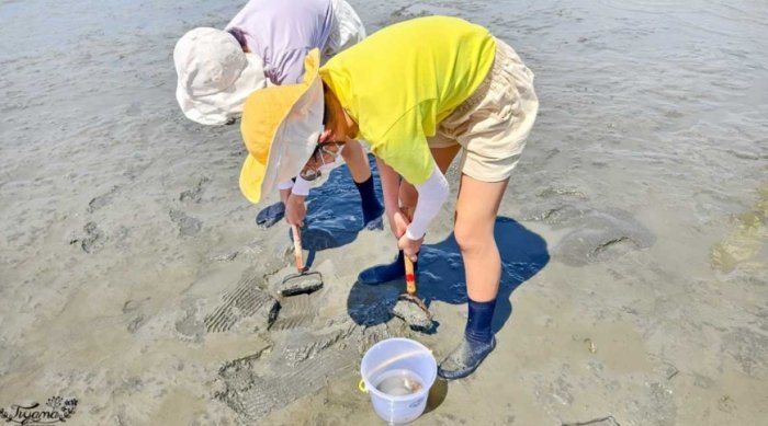 彰化王功旅遊 彰化王功旅遊