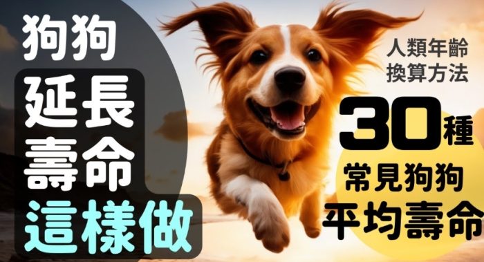 寵物護理 寵物護理