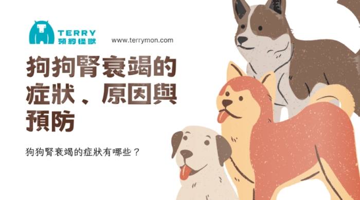 狗狗腎衰竭飲食