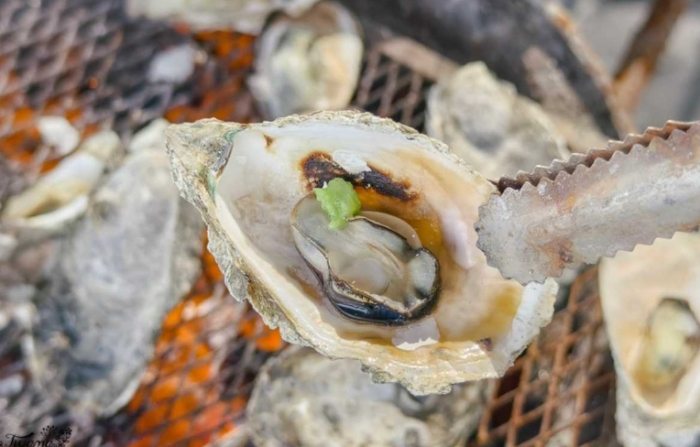 挖蛤蜊技巧 挖蛤蜊技巧