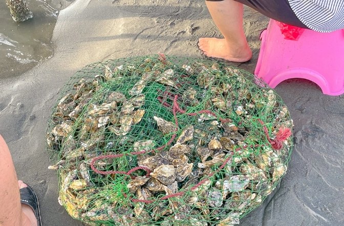 王功潮汐表 王功潮汐表