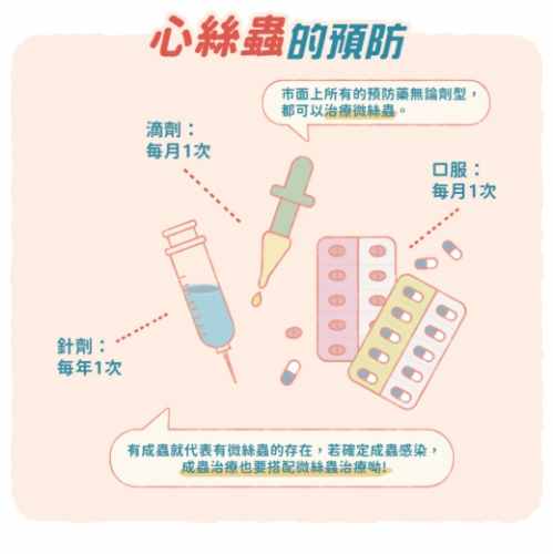 心絲蟲預防方法 心絲蟲預防方法
