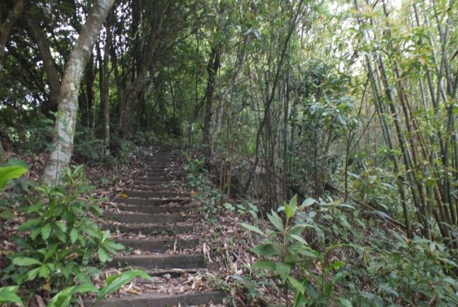 白雞山步道