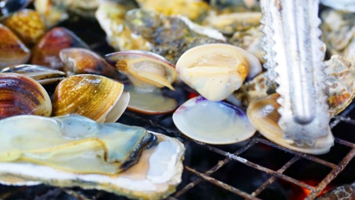 挖蛤蜊技巧 挖蛤蜊技巧