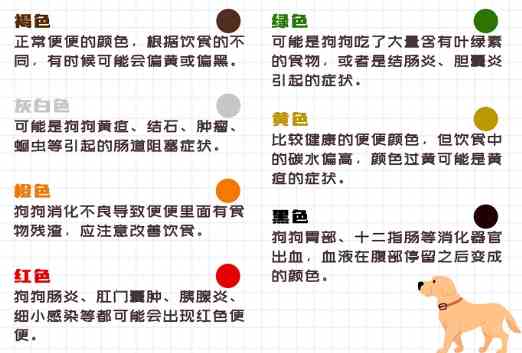 狗狗腎衰竭症狀