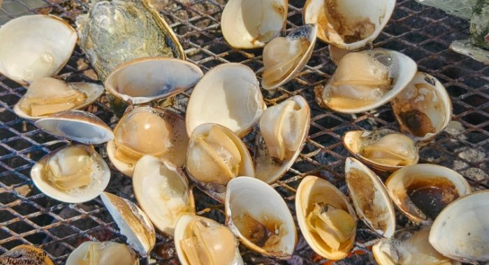 王功潮汐表 王功潮汐表