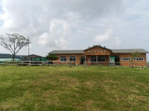 濟州島騎馬 濟州島騎馬