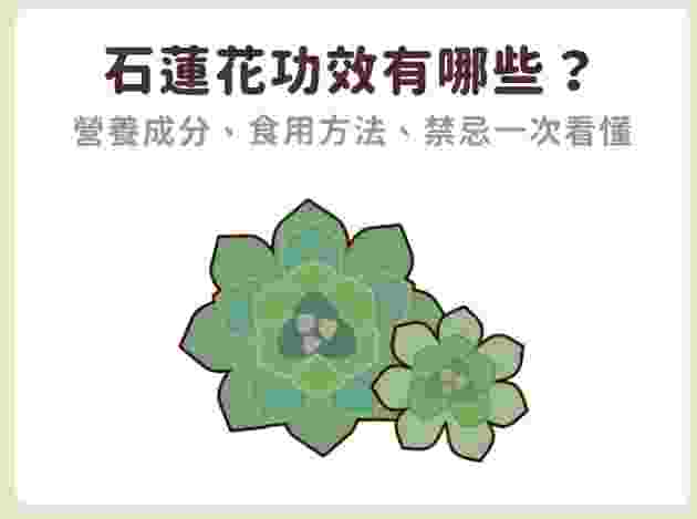 石蓮花多酚怎麼吃