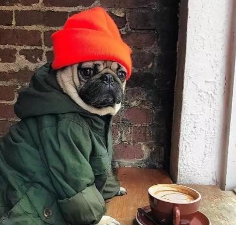 狗誤食咖啡渣處理 狗誤食咖啡渣處理