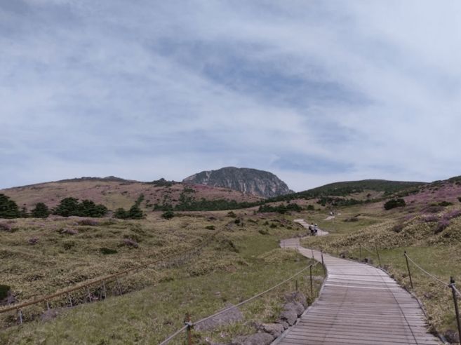 漢拏山登山攻略 漢拏山登山攻略