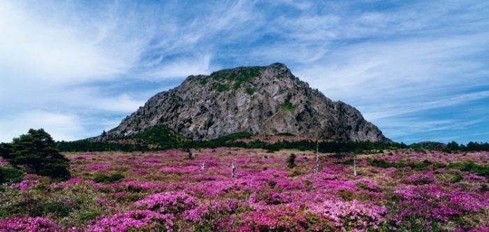漢拏山登山交通 漢拏山登山交通