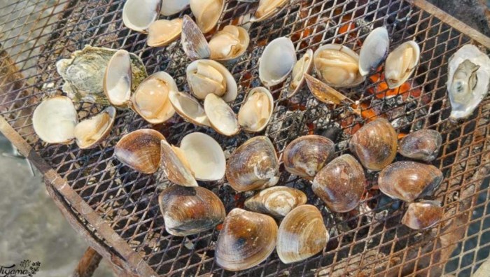 彰化王功旅遊 彰化王功旅遊