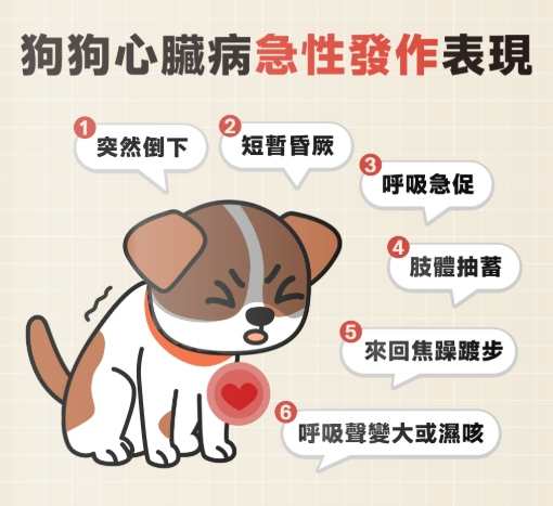 狗心臟病預防