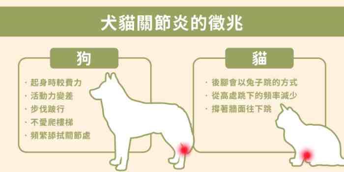 犬關節炎治療