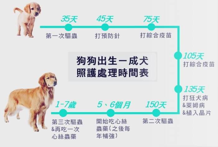 幼犬呼吸正常值