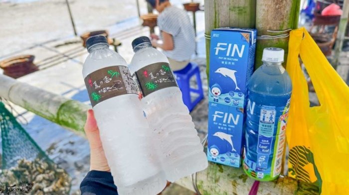 王功潮間帶生態 王功潮間帶生態