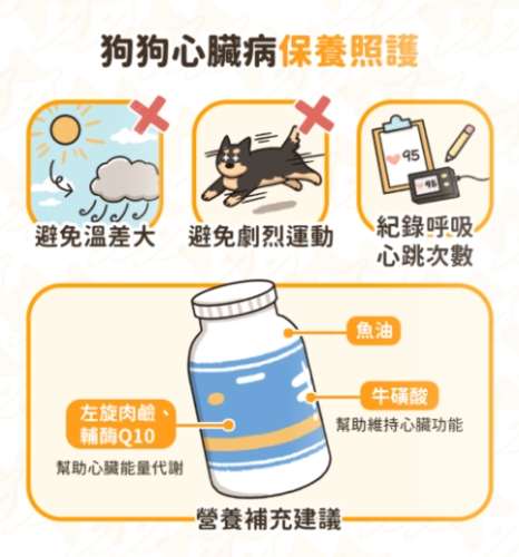 犬心臟病治療