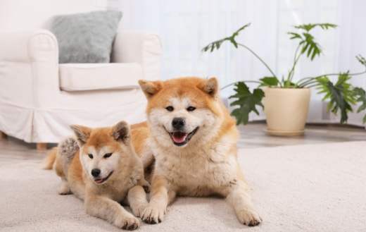 鉀離子過高症狀