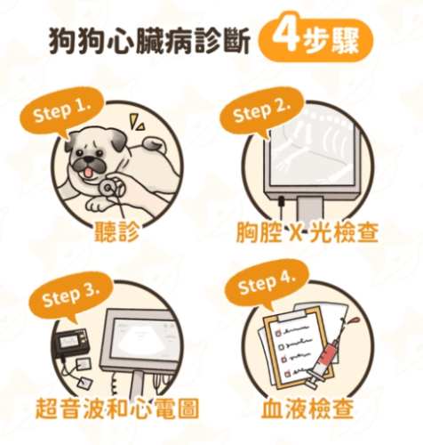 心臟肥大狗狗照護 心臟肥大狗狗照護