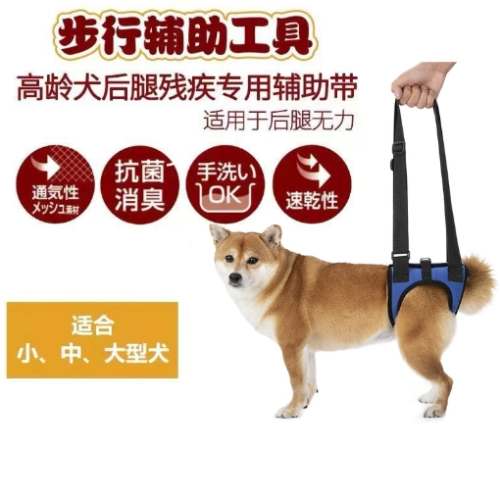 狗後腿無力治療