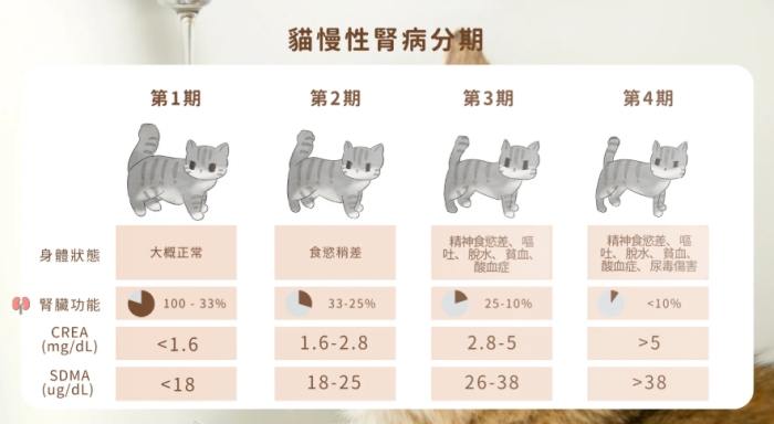 貓腎衰竭存活時間 貓腎衰竭存活時間