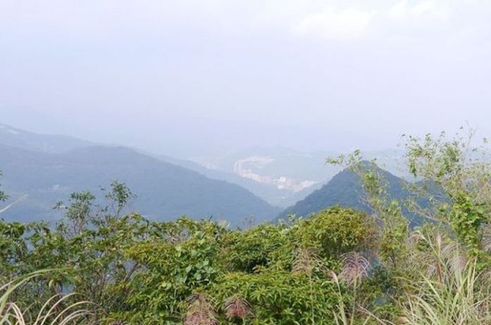 雞心尖難度 雞心尖難度