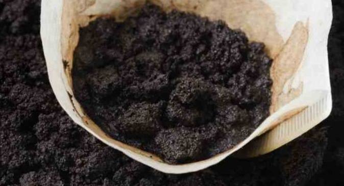 咖啡渣對狗有毒 咖啡渣對狗有毒