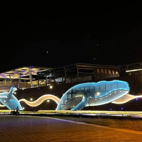 台南晚上去哪玩