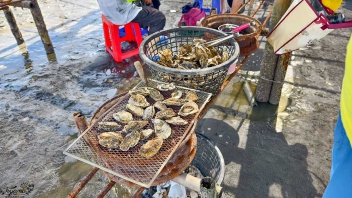 王功旅遊 王功旅遊