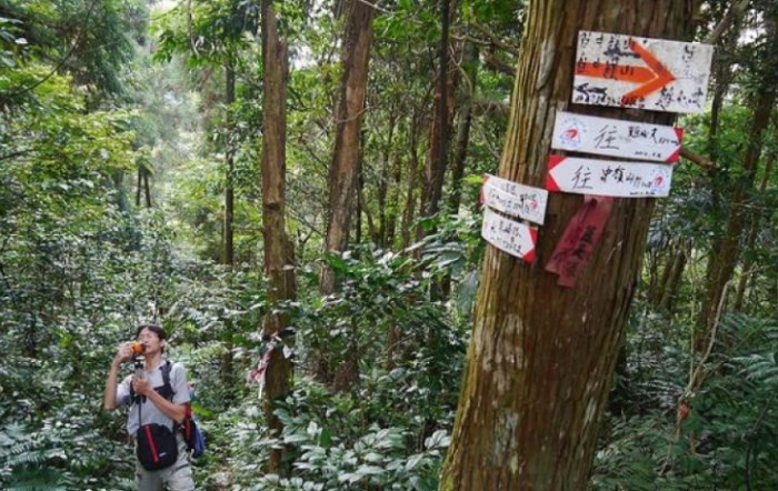 雞心尖登山 雞心尖登山
