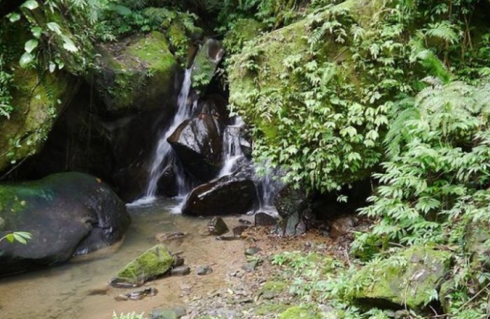 雞心尖登山 雞心尖登山