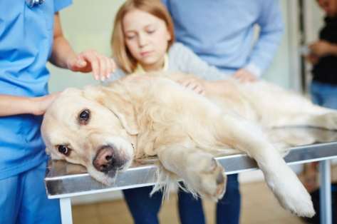 腎衰竭第三期症狀